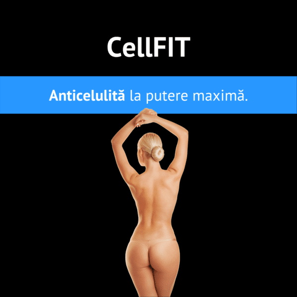 CellFIT 2