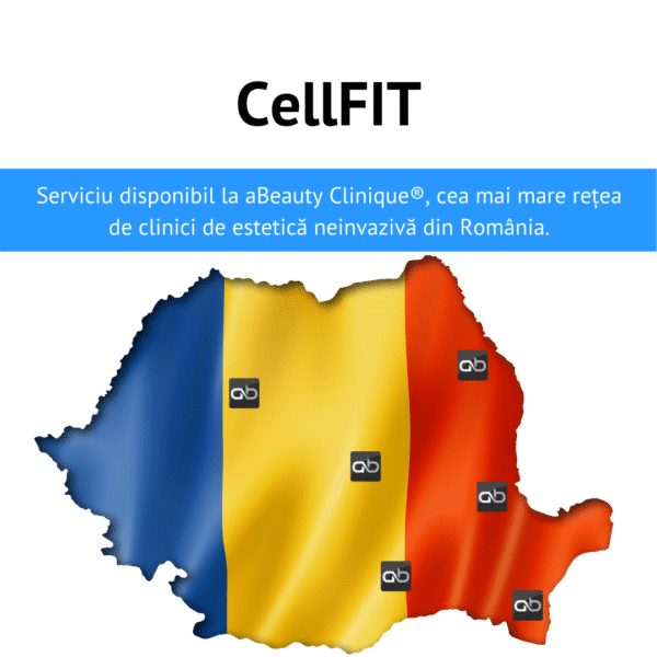 CellFIT 3