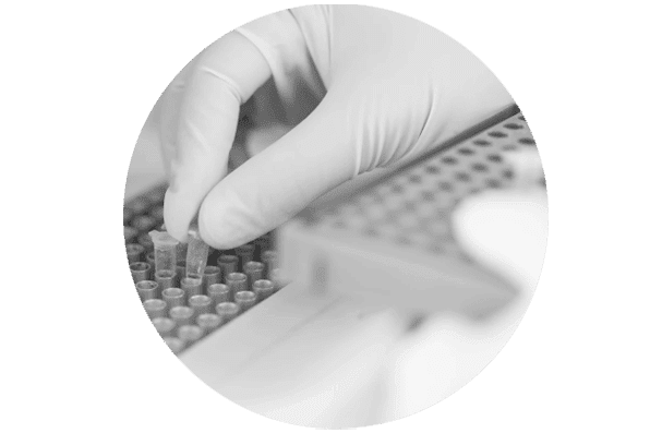 Testul Genetic FillerTest Testul Genetic FillerTest